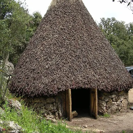 Su Marmuri