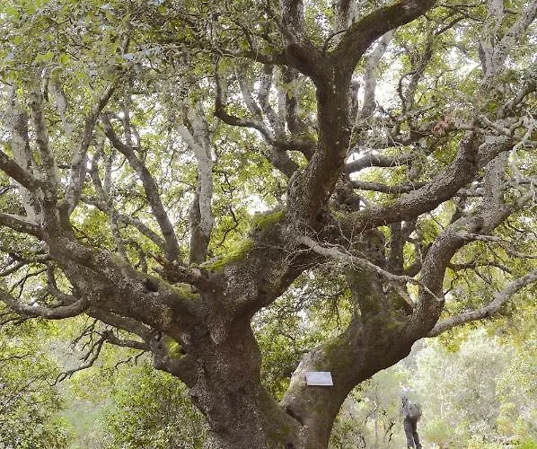 Szálloda Su Marmuri 3*