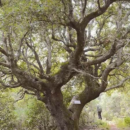 מלון Su Marmuri 3*